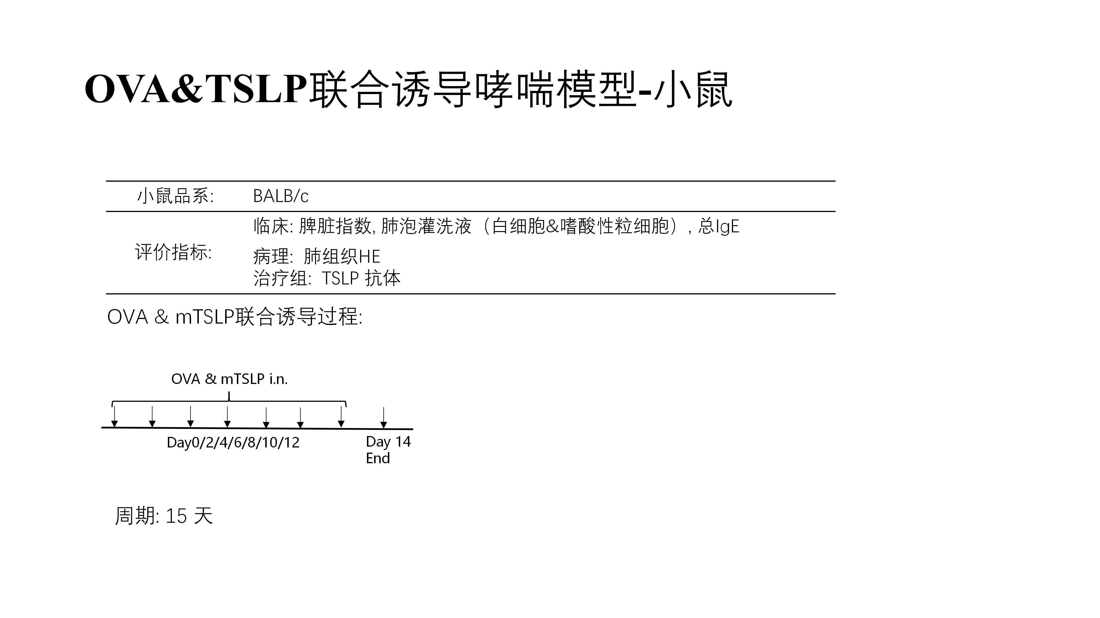 拓维生物免疫相关模型 (20260213 更新)_05.png