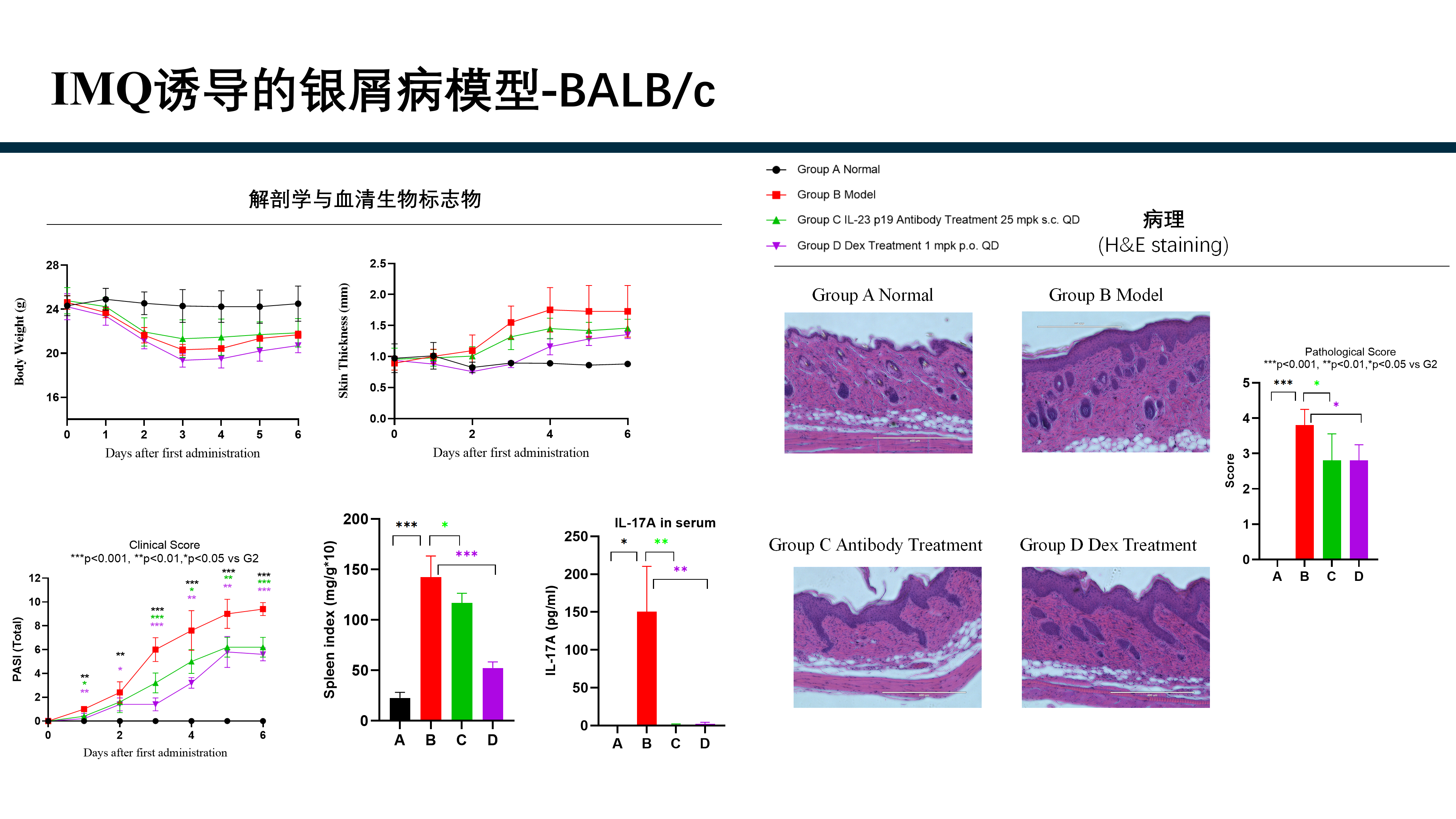 拓维生物免疫相关模型 (20260213 更新)_10.png