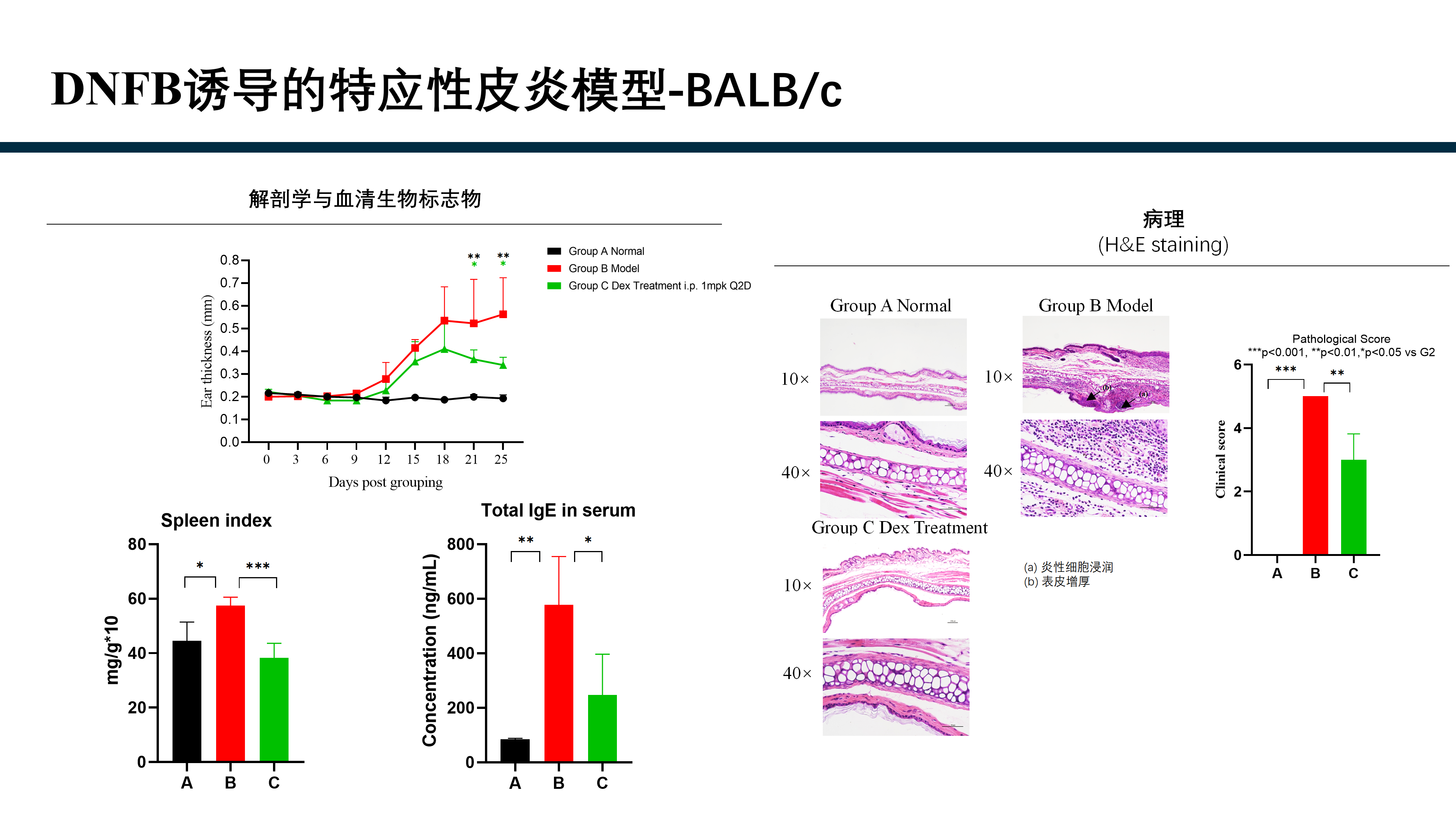 拓维生物免疫相关模型 (20260213 更新)_14.png