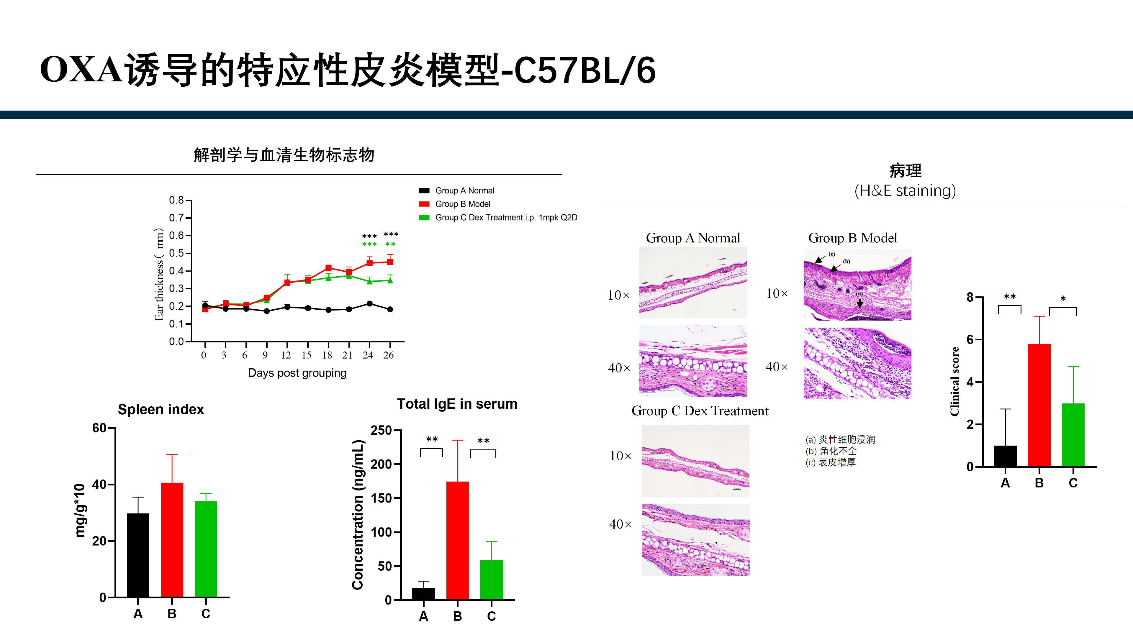 拓维生物免疫相关模型 (20260213 更新)_16(1).png