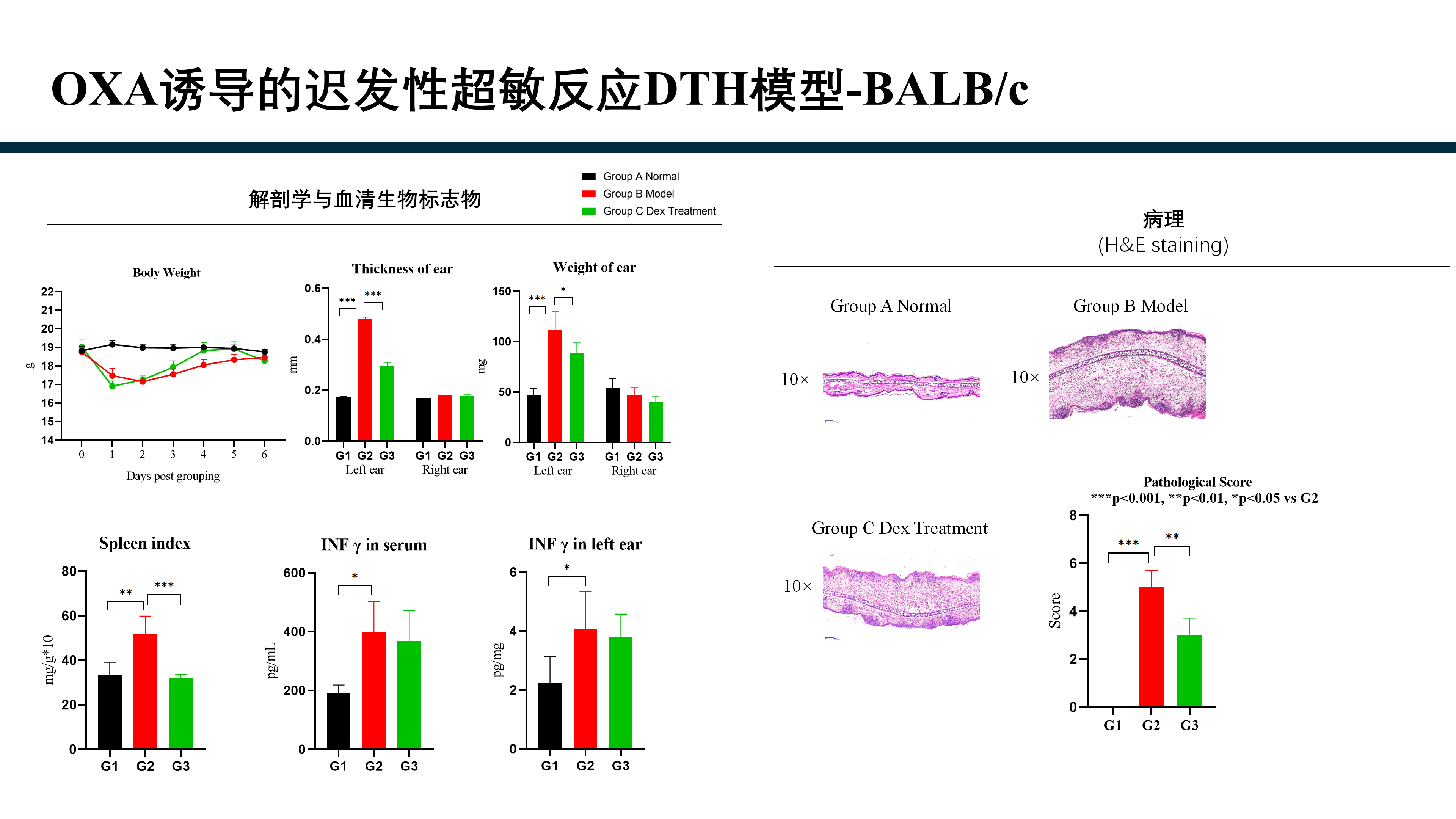 拓维生物免疫相关模型 (20260213 更新)_18(1).png