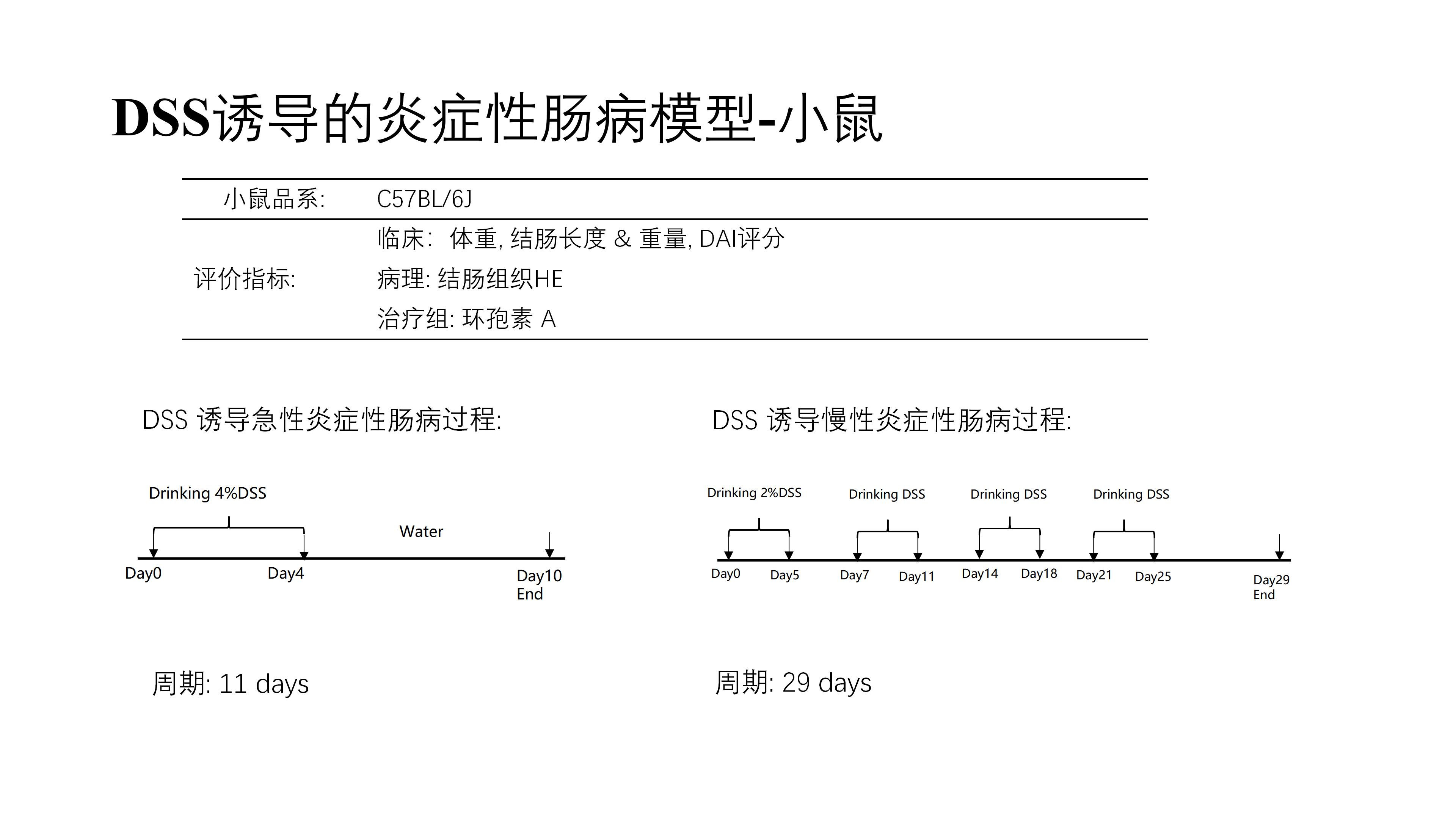 拓维生物免疫相关模型 (20260213 更新)_19(1).png