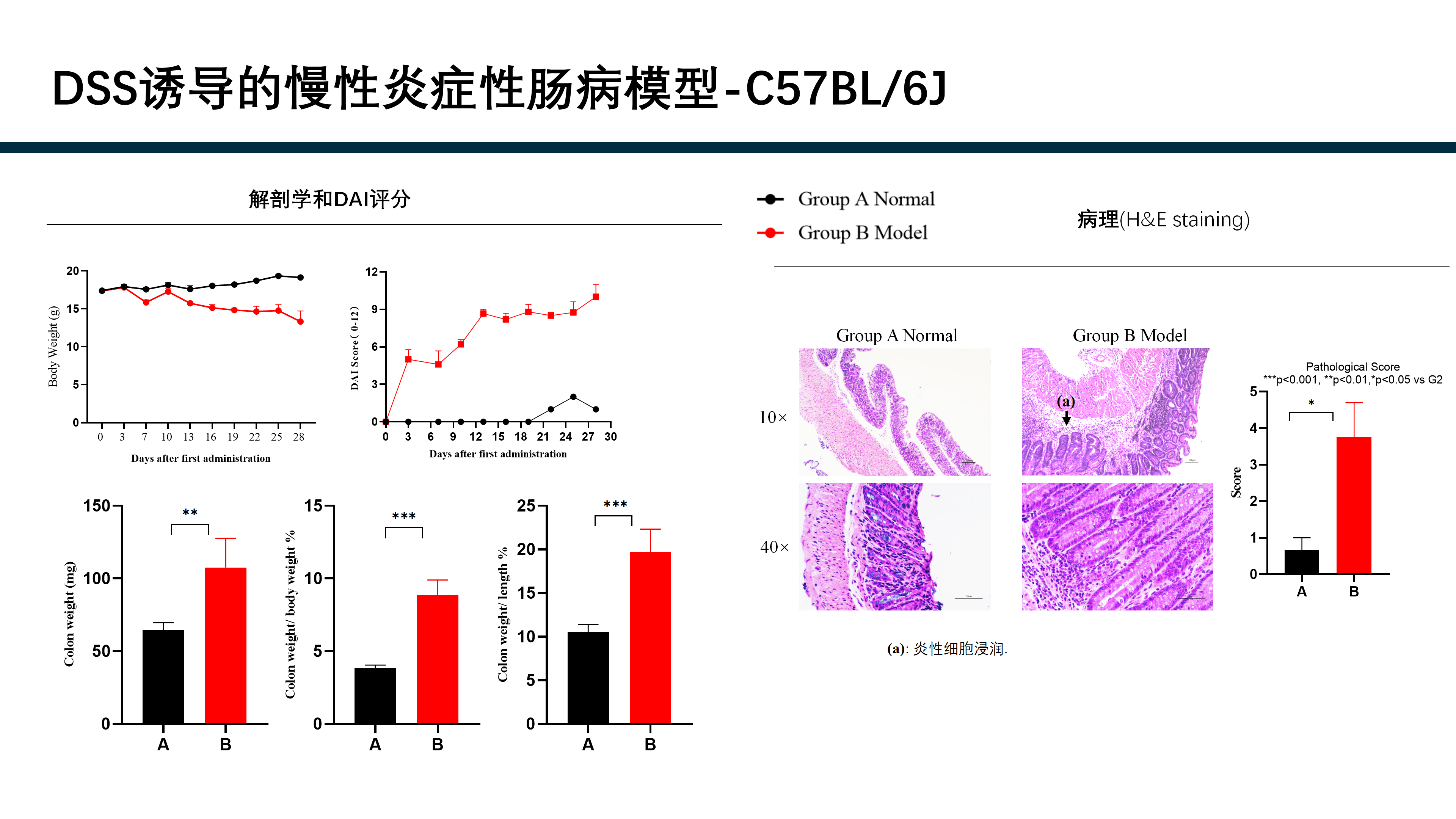 拓维生物免疫相关模型 (20260213 更新)_21(1).png