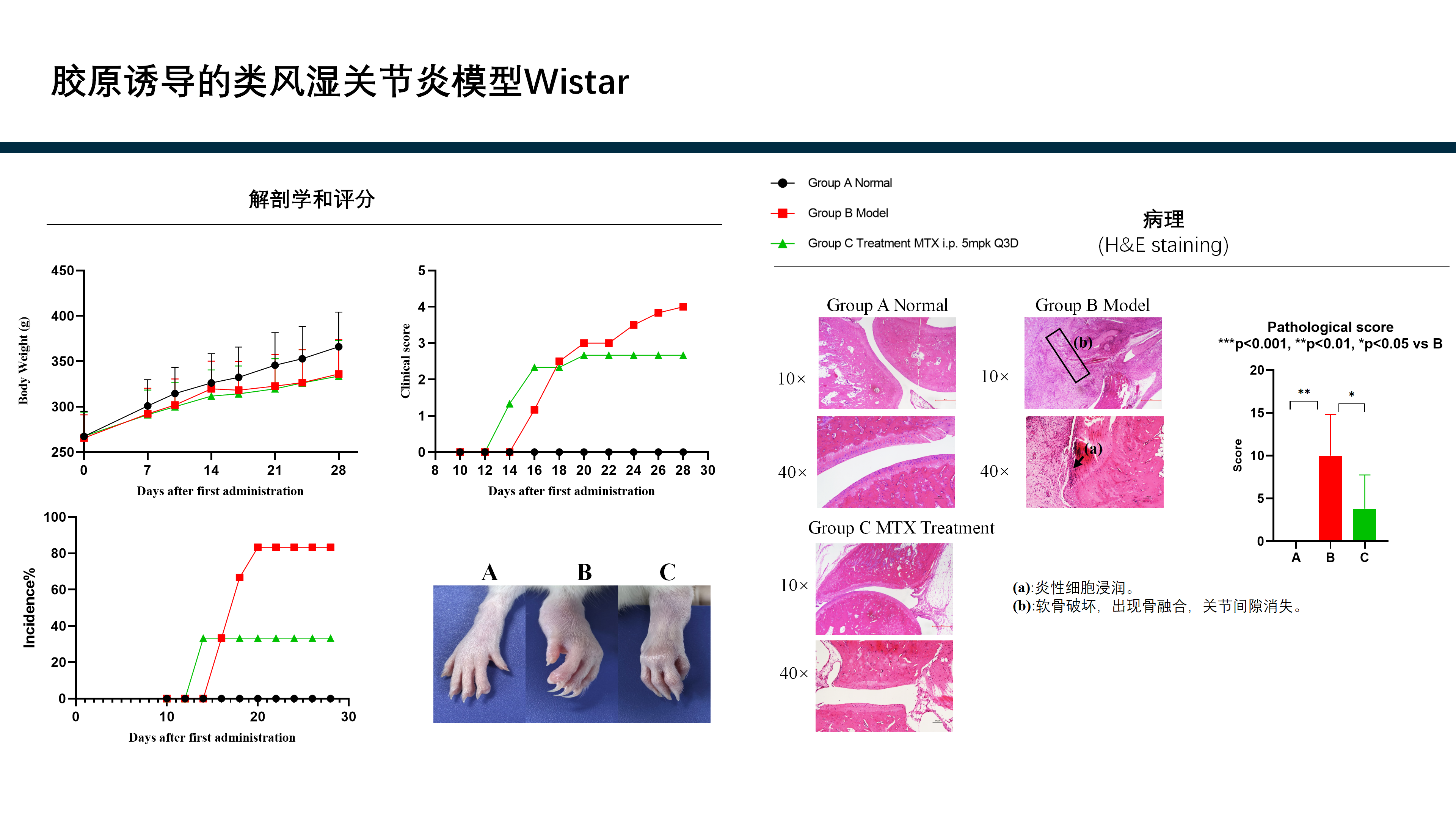 拓维生物免疫相关模型 (20260213 更新)_25(1).png
