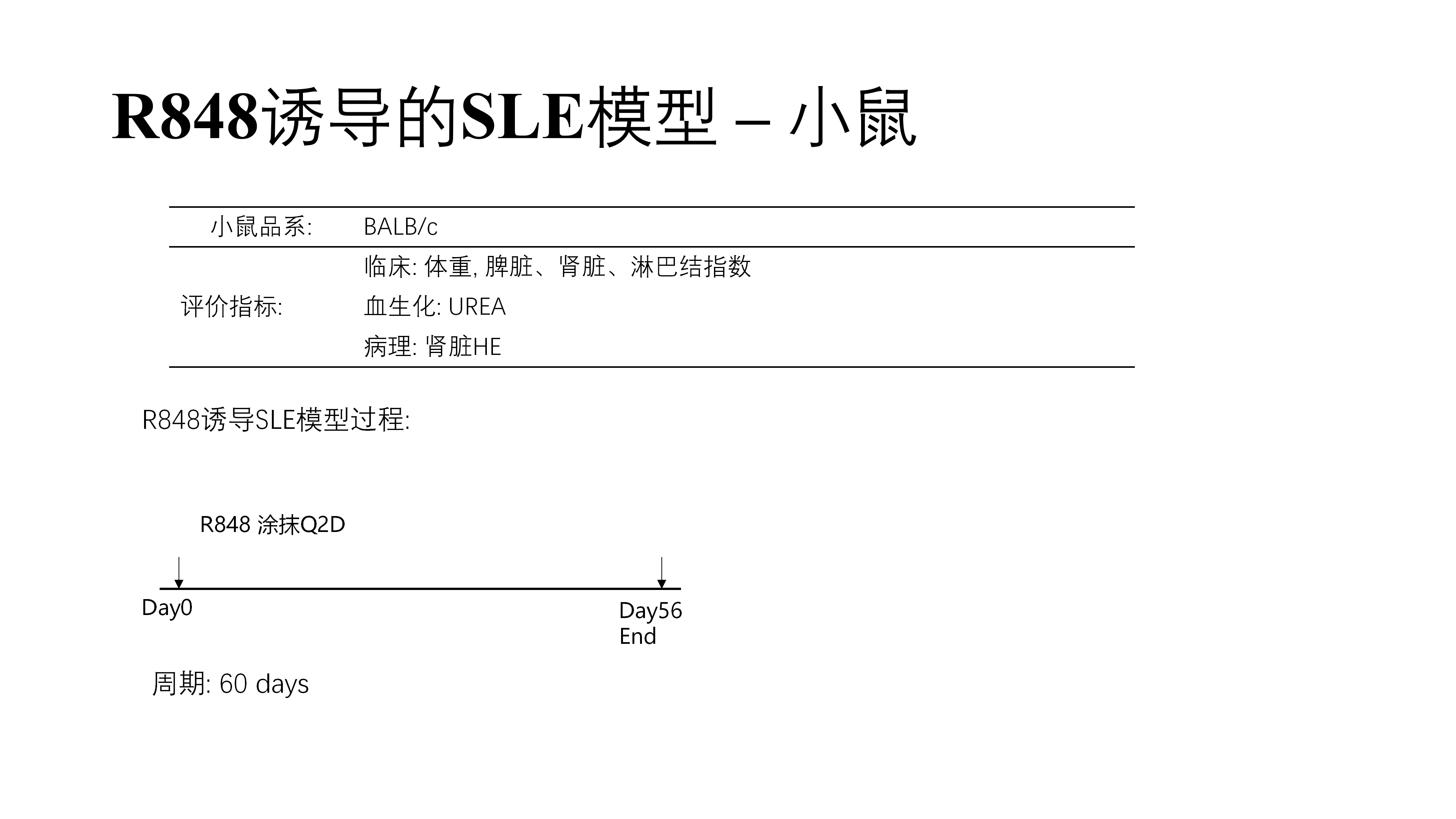 拓维生物免疫相关模型 (20260213 更新)_26(1).png