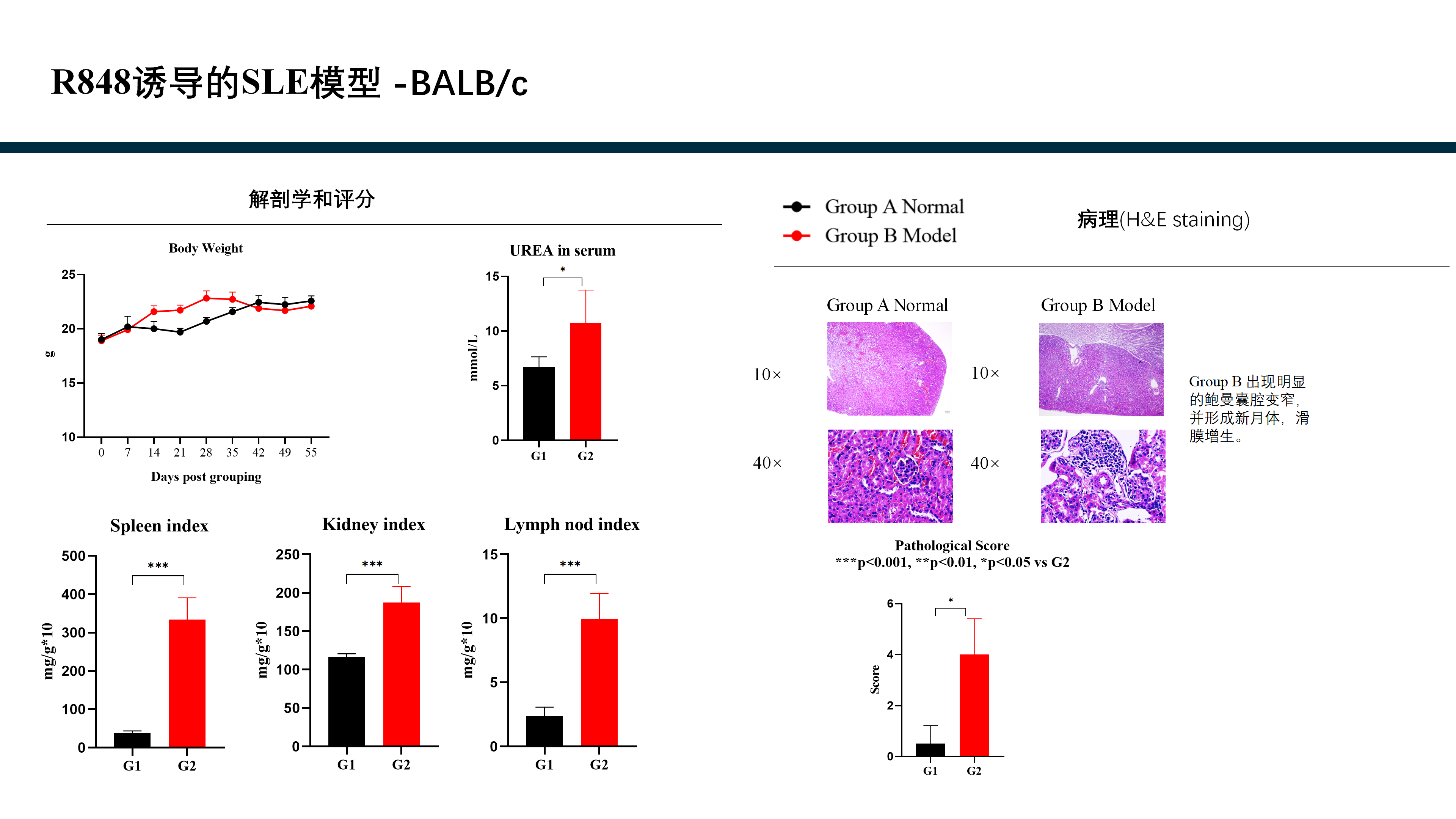 拓维生物免疫相关模型 (20260213 更新)_27(1).png