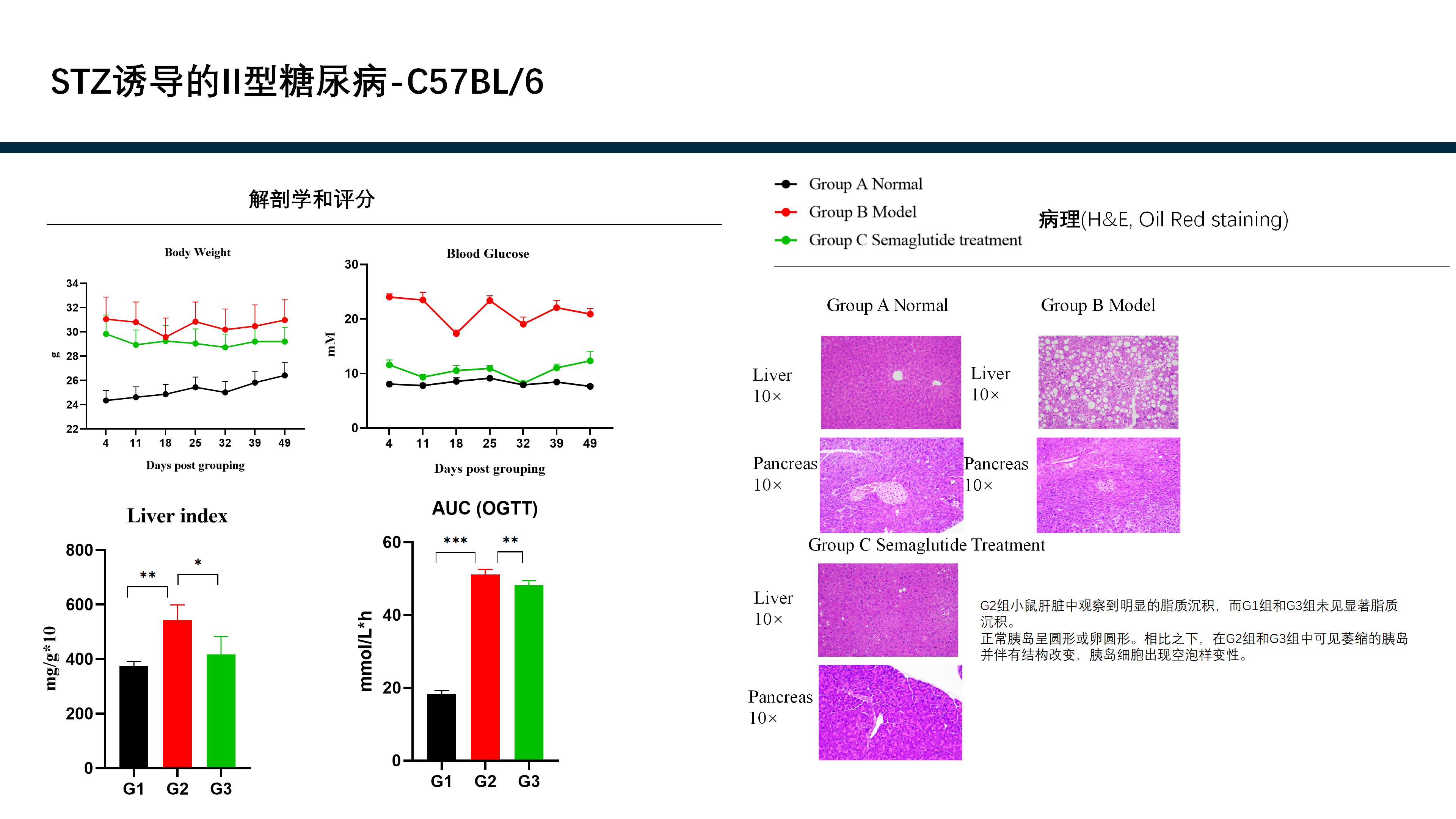 拓维生物免疫相关模型 (20260213 更新)_31(1).png