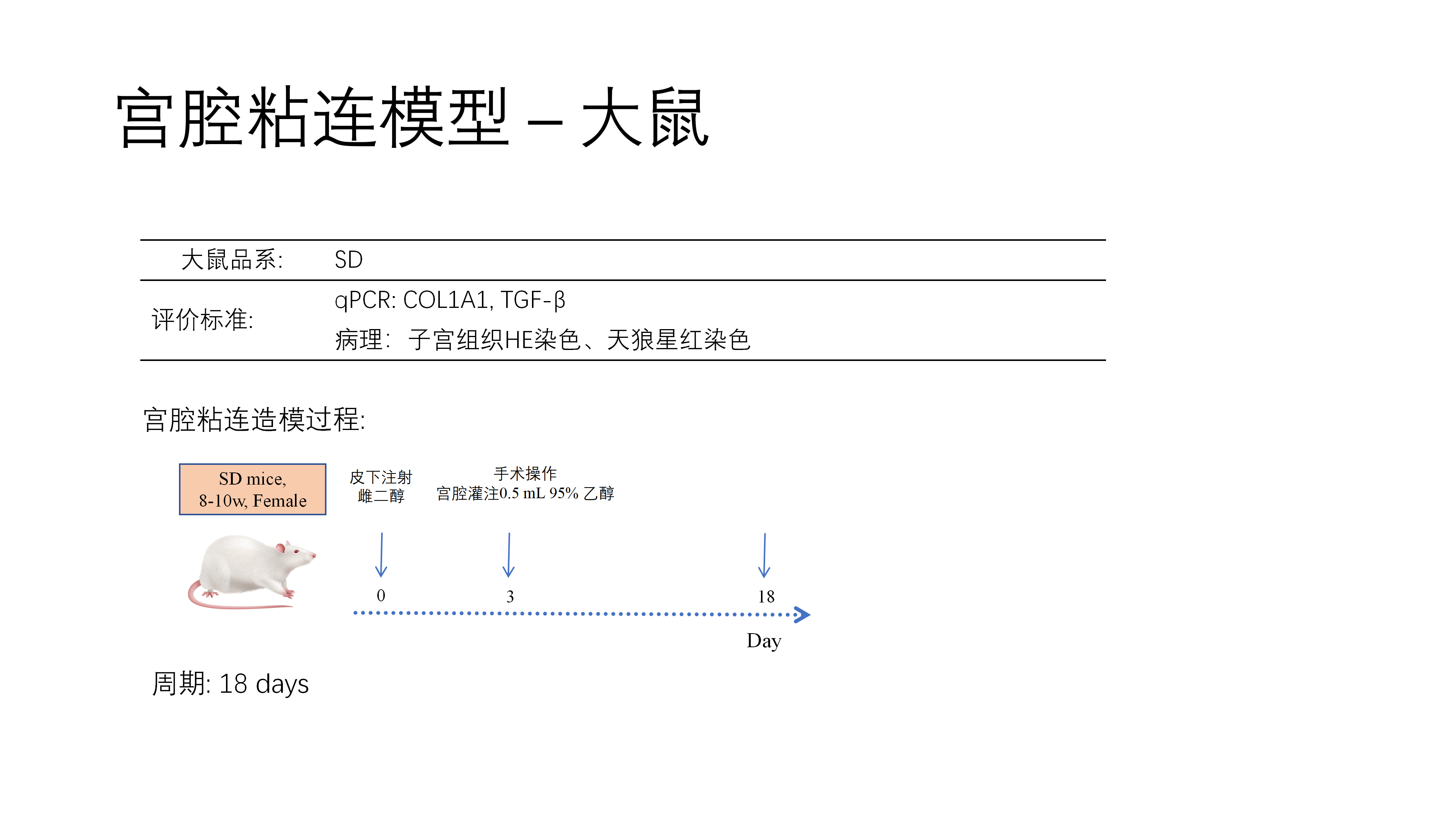 拓维生物免疫相关模型 (20260213 更新)_34(1).png